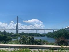 -芒洲湿地公园