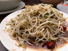 炒豆芽-三中高皇羊肉馆