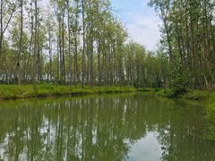 -合肥滨湖国家森林公园