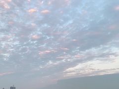 -深圳湾公园(南山区)