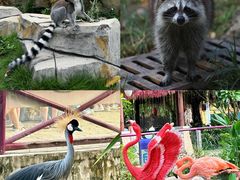 -灵玲国际马戏城