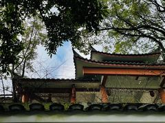 -南山植物园