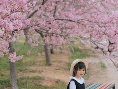 -天适樱花悠乐园