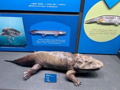 -国家自然博物馆