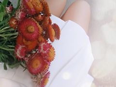 -三圣花乡旅游区