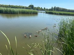 -野鸭湖国家湿地公园