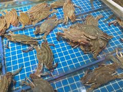 水产区-東城故事·尋找姆媽的味道(玉兰路店)