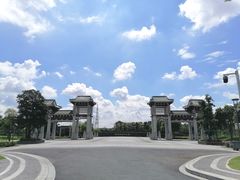 -王借岗森林公园