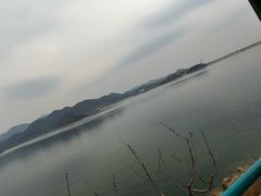 -望湖烤鱼