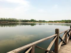 -溱湖国家湿地公园