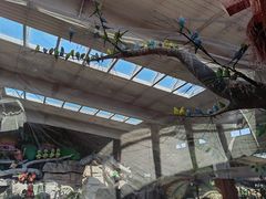 -南宫五洲植物乐园