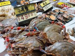 -渔娘渔家丹东海鲜(东直门店)