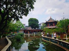 -碧江金楼