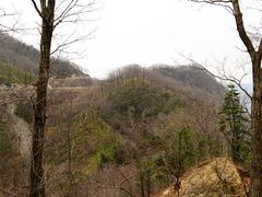 -牛背梁国家森林公园