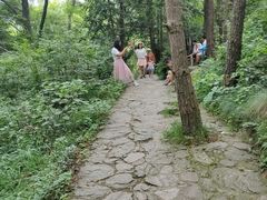 -木兰云雾山