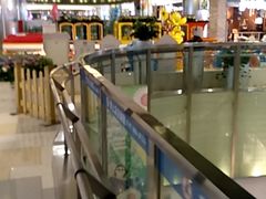 -鹏欣水游城
