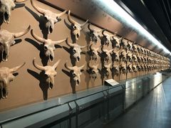 -大庆市博物馆