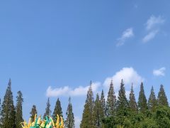 -黄海国家森林公园