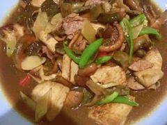 -农乐园食府(梅城镇店)