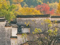 -塔川景区