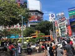 -涩谷区