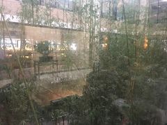 -真爱年华水疗健康运动中心(朱雀大街店)