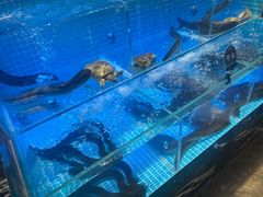 -山海•蒸汽活海鲜自助(皇庭广场店)
