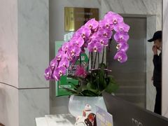 -登特口腔医院(鼓楼东街口店)