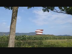 -光明小镇欢乐田园