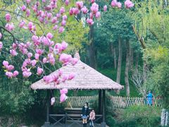 -茅家埠