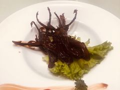 -蝶园·装修中(BFC外滩金融中心店)