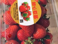 -甜心庄园·甜心草莓采摘园(西青中北店)