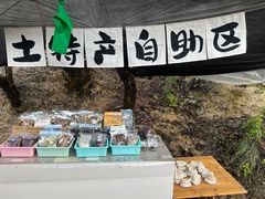 -白水台