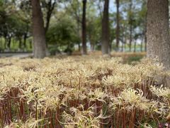 -白塘生态植物园