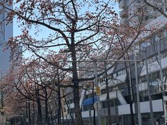 -烈士陵园(地铁站)