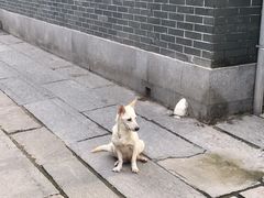 -黄埔古港