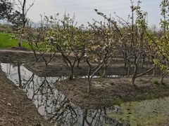 -长田漾湿地公园