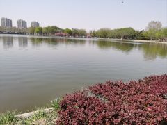 -泰丰公园