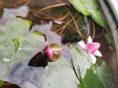 -上海滨江森林公园