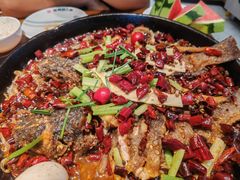 -老板恋上鱼(印象城店)