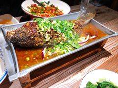 香辣炝锅鱼-树厨贵州菜(大十字店)
