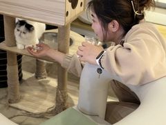 -藏猫猫咖啡主题馆(中央大道店)