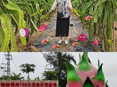 -硇洲岛旅游区
