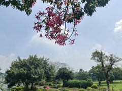 -东莞植物园