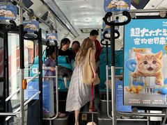 -帕帕拉兹宠物(亚洲旗舰店)