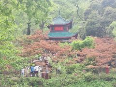 -岳麓山风景名胜区