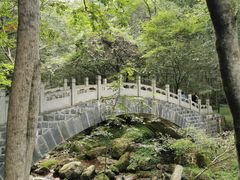 -牛背梁国家森林公园