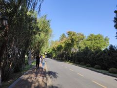 -太阳岛度假酒店