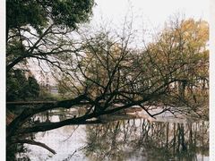 -婺源月亮湾