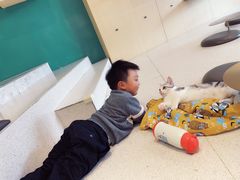 -飞行喵MR PILOT|猫舍·猫咖(静安大融城店)